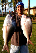 Lui Snapper Lui Snapper